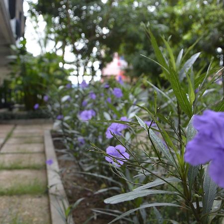 Bamboo Garden Boutique Hotel Siem Reap Luaran gambar