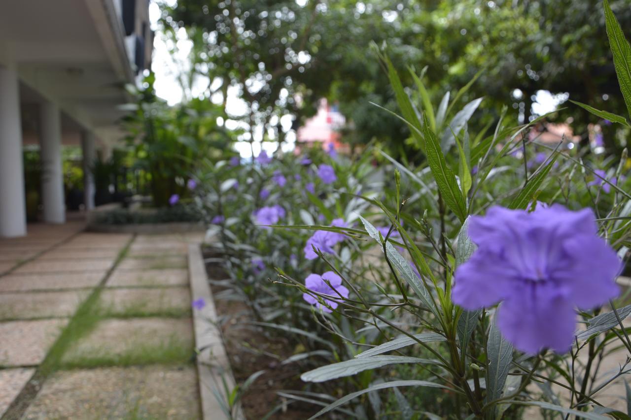 Bamboo Garden Boutique Hotel Siem Reap Luaran gambar